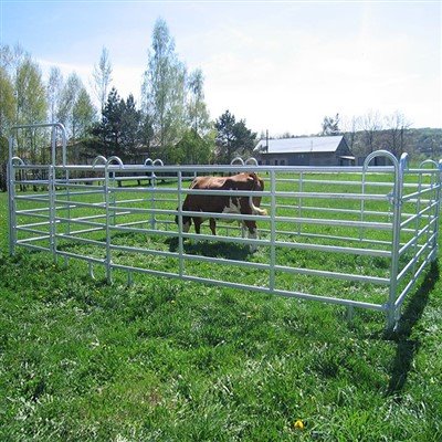 Panno bèf galvanised